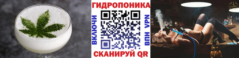 omg сайт  Мирный  Cannafood конопля 