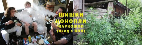 стафф Ладушкин