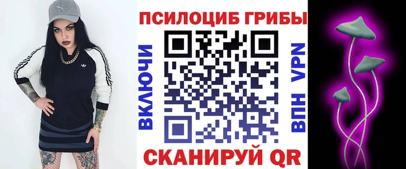 ОМГ ОМГ вход Мирный Галлюциногенные грибы мицелий