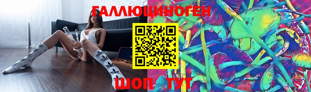 Псилоцибиновые грибы Psilocybe  Вход с VPN  Мирный 