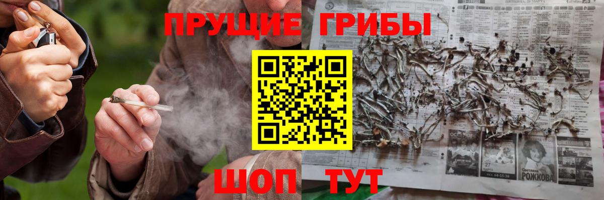 Псилоцибиновые грибы GOLDEN TEACHER  Псилоцибиновые грибы ЛСД  купить наркоту  Мирный 