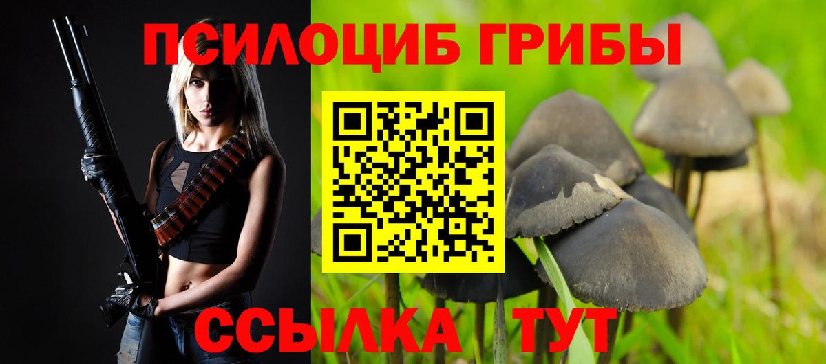 Галлюциногенные грибы Psilocybine cubensis Мирный