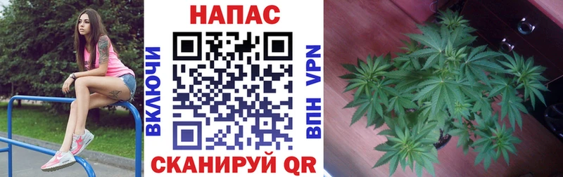 купить закладку  Мирный  Каннабис VHQ 